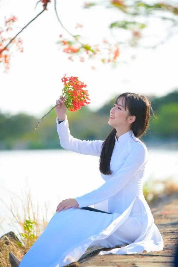 Anh-hoa-phuong-32 concept hoa phượng